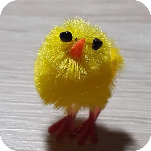 😰 Стикер «ЦЫПЫ» для Telegram