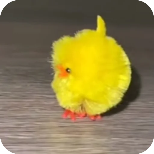 ❓ Стикер «ЦЫПЫ» для Telegram