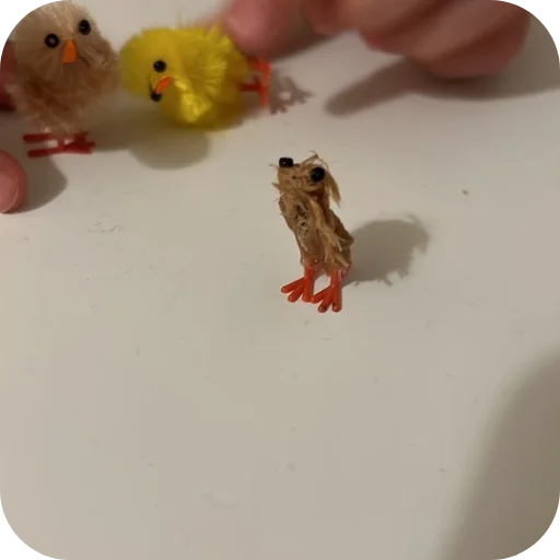 🦉 Стикер «ЦЫПЫ» для Telegram