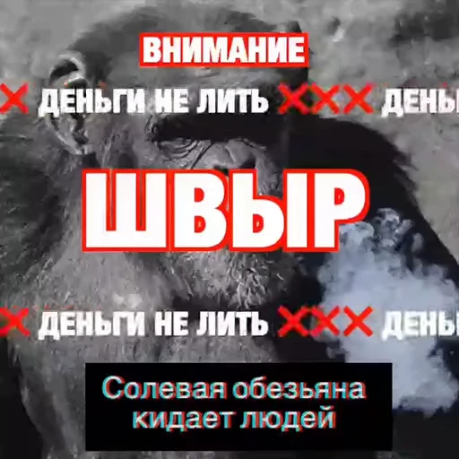 💀 Стикер «D4RKCHAT» для Telegram