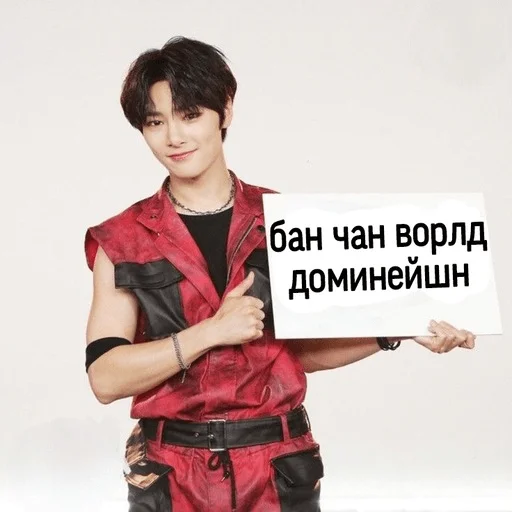 ✉️ Стикер «Stray kids ворлд доминейшн» для Telegram