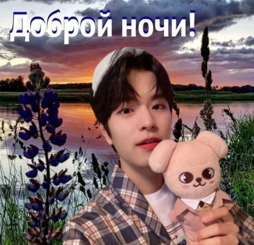 🌟 Стикер «Stray kids ворлд доминейшн» для Telegram