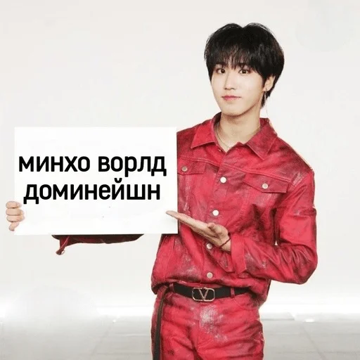 ✉️ Стикер «Stray kids ворлд доминейшн» для Telegram
