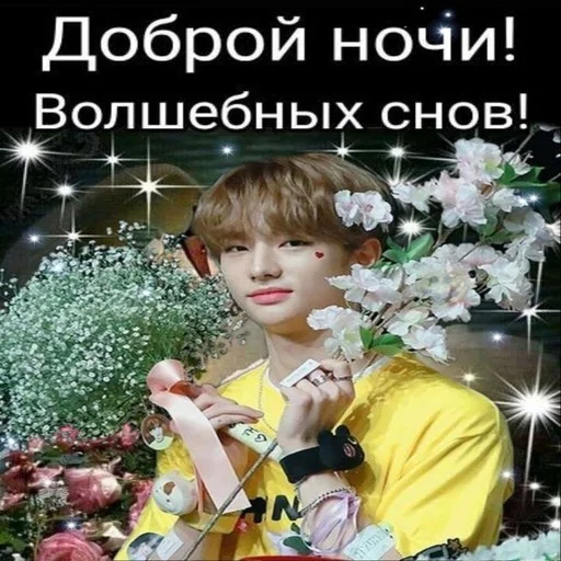 🌟 Стикер «Stray kids ворлд доминейшн» для Telegram