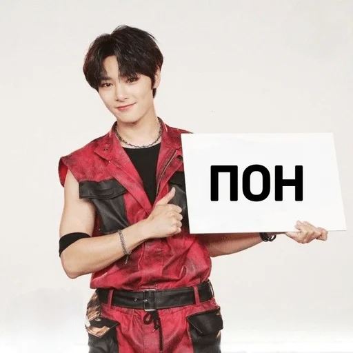 ✉️ Стикер «Stray kids ворлд доминейшн» для Telegram