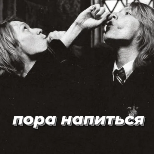 🍺 Стикер «гп, а что?» для Telegram