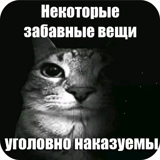 😳 Стикер «Да поебать мне» для Telegram