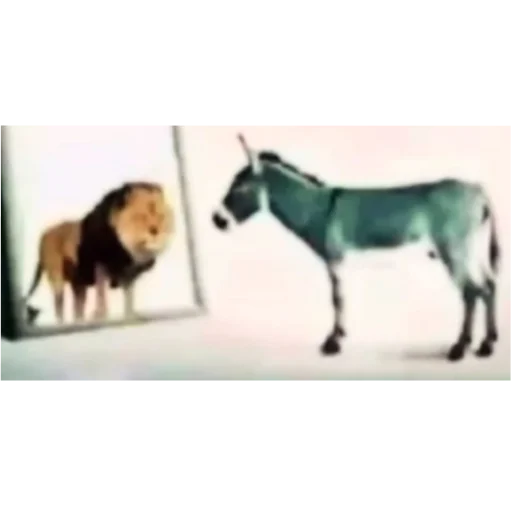 🦁 Стикер «Да поебать мне» для Telegram