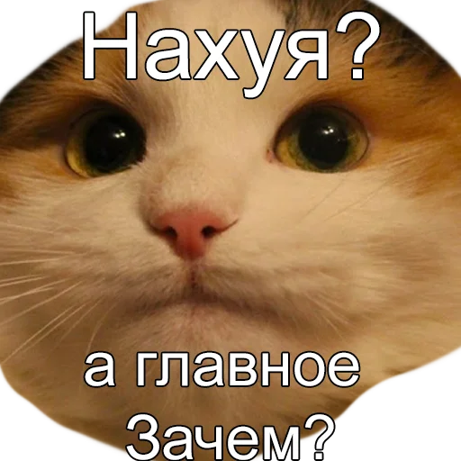❔ Стикер «ДА. Стикеры для важных переговоров» для Telegram