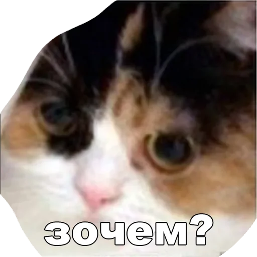 ❔ Стикер «ДА. Стикеры для важных переговоров» для Telegram