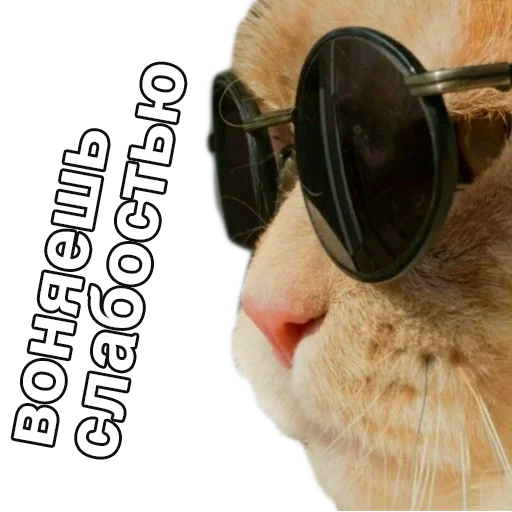😈 Стикер «ДА. Стикеры для важных переговоров» для Telegram
