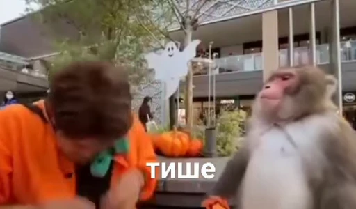 🤫 Стикер «dada ya» для Telegram