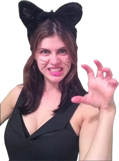 🐱 Стикер «DaddarioPack» для Telegram