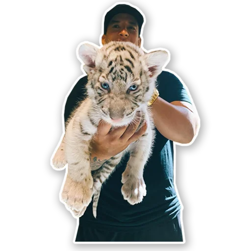 🐯 Стикер «Daddy Yankee» для Telegram