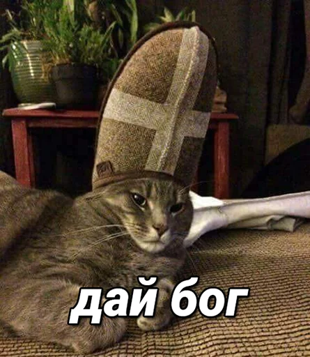 🤞 Стикер «daidenuk» для Telegram