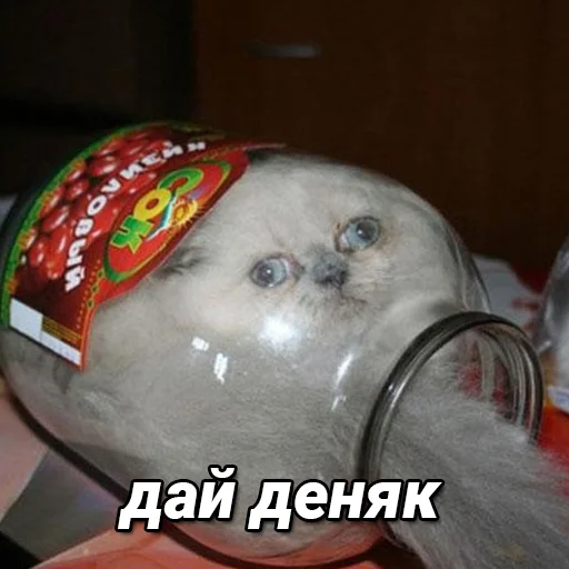 Стикерпак daidenuk для Telegram — скачать
