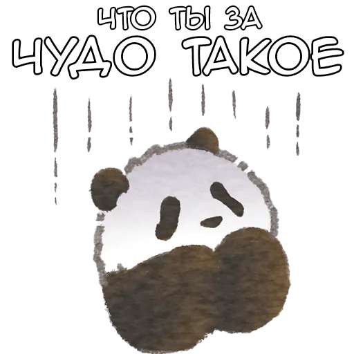 🥹 Стикер «Ежедневная панда» для Telegram