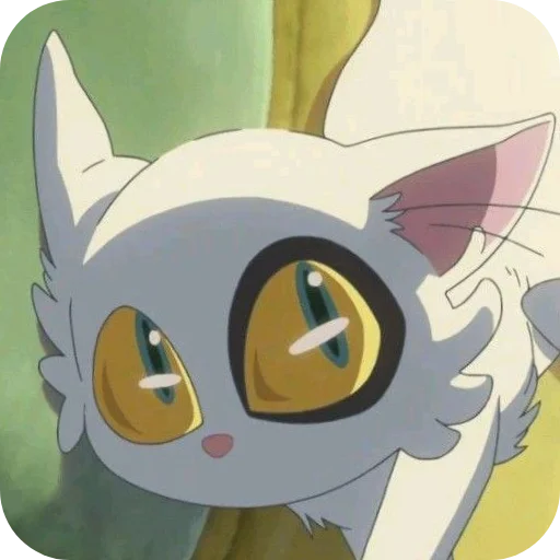 🤨 Стикер «Daijin cat» для Telegram