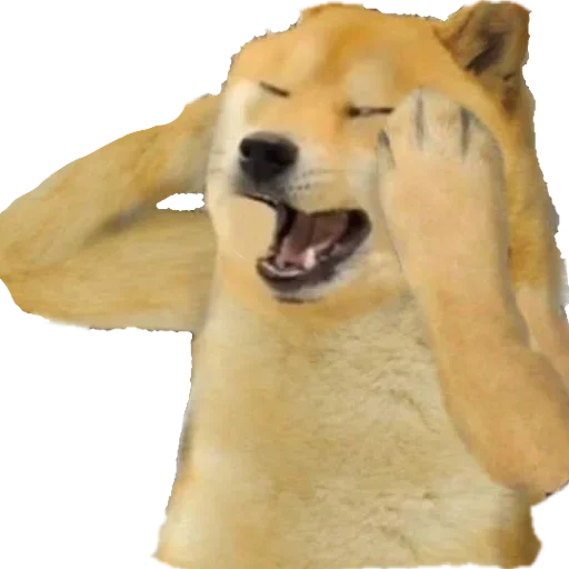 😊 Стикер «Daily Shit» для Telegram