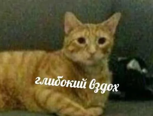 😊 Стикер «Daily Shit» для Telegram