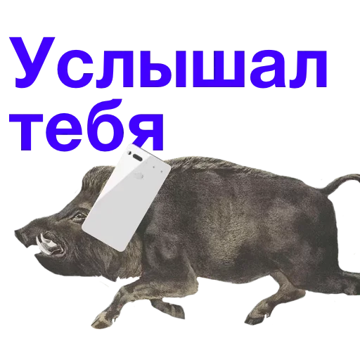 😊 Стикер «Daily Shit» для Telegram