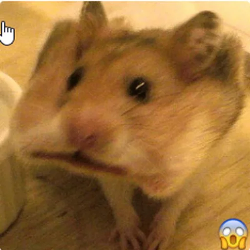 😮 Стикер «Dank Nevera&;s stickers» для Telegram