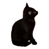 🐈 Эмодзи «dark tones» для Telegram