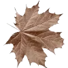 Стикер 9 Dark autumn vibe #vibe #autumn