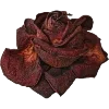 Стикер 4 Dark autumn vibe #vibe #autumn