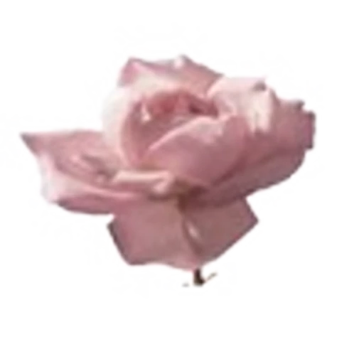 🌟 Эмодзи «flawless» для Telegram