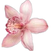 🤩 Эмодзи «flawless» для Telegram