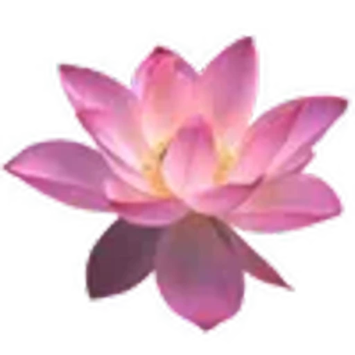 🪷 Эмодзи «flawless» для Telegram