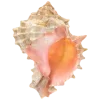 🐚 Эмодзи «flawless» для Telegram