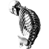 💀 Эмодзи «Darkcore» для Telegram