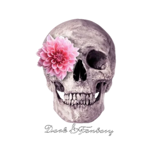 ☠️ Стикер «DarkFantasy» для Telegram