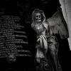 Стикер 31 Dark Tg