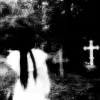 Стикер 16 Dark Tg