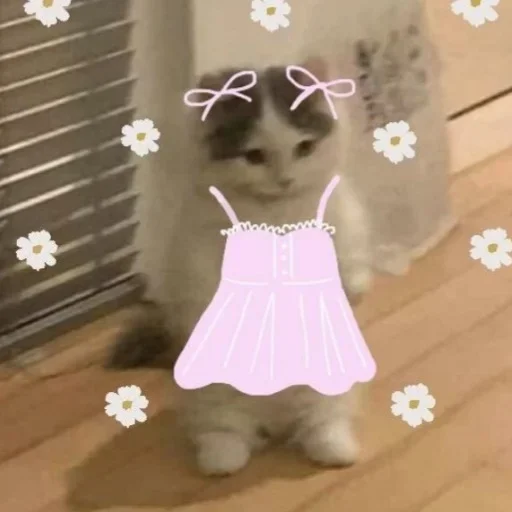 💜 Стикер «DARLING» для Telegram