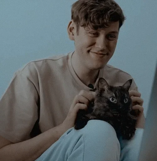 🐱 Стикер «тоха/дошик» для Telegram