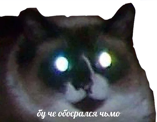 ☹️ Стикер «Ready» для Telegram
