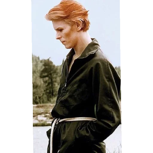 😔 Стикер «David Bowie» для Telegram