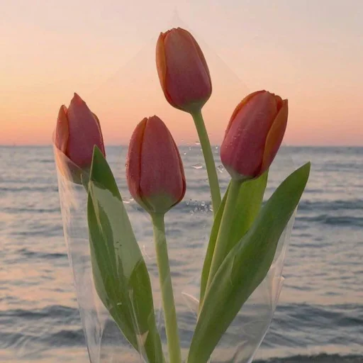 🌷 Стикер «lουε αeshτeτic» для Telegram