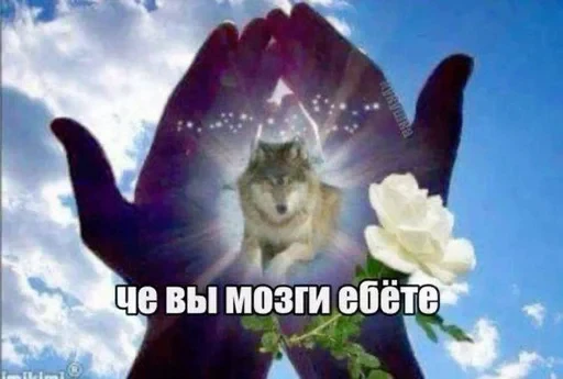 🌟 Стикер «чумазес» для Telegram