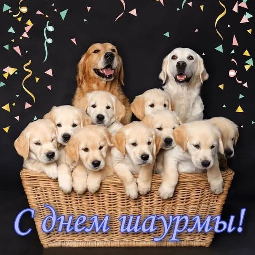 🫔 Стикер «С днём» для Telegram