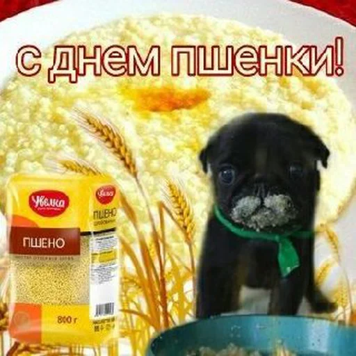 🌾 Стикер «С днём» для Telegram