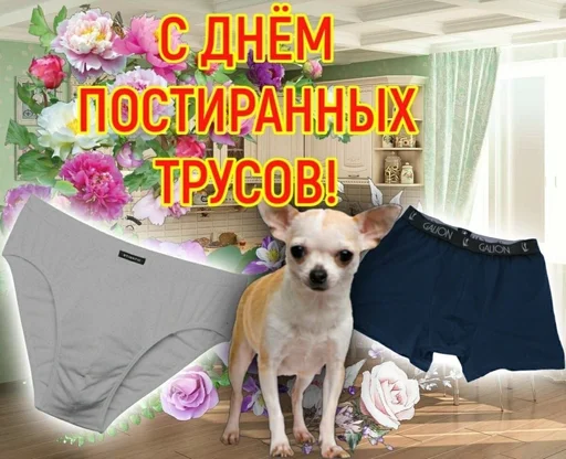 💨 Стикер «С днём» для Telegram