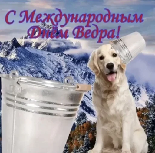 🪣 Стикер «С днём» для Telegram