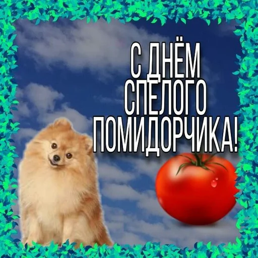 🍅 Стикер «С днём» для Telegram