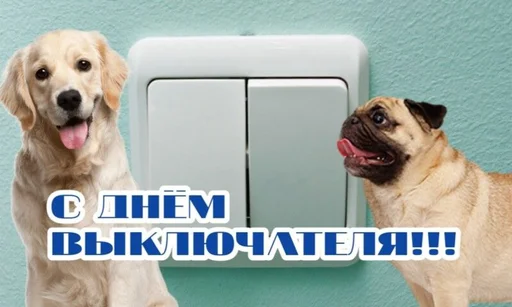 💡 Стикер «С днём» для Telegram