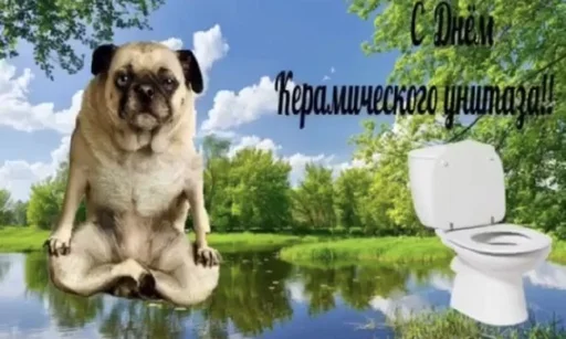 🚽 Стикер «С днём» для Telegram